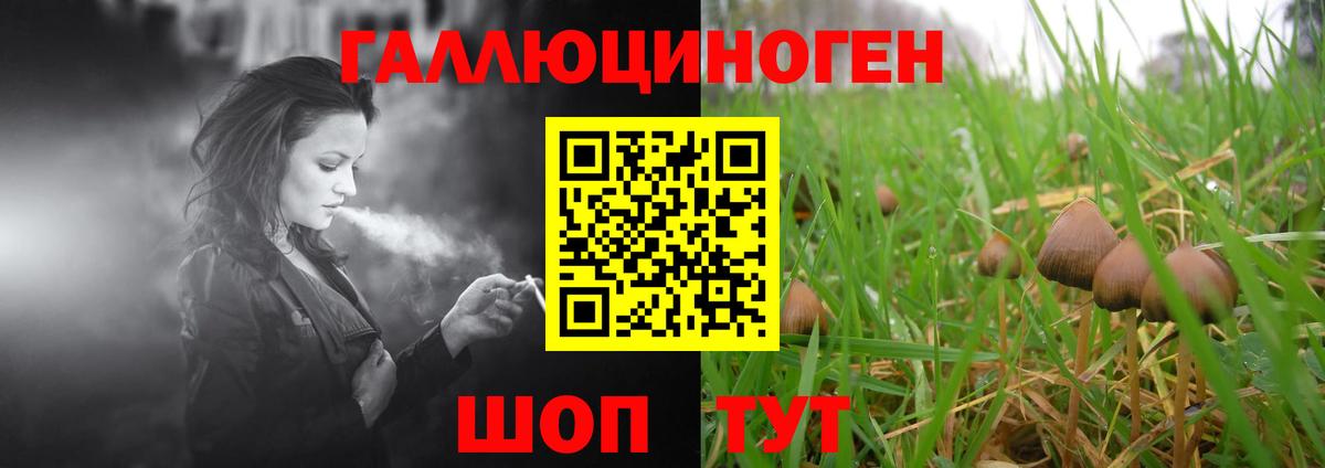 Абакан  Псилоцибиновые грибы GOLDEN TEACHER  Псилоцибиновые грибы мухоморы  Вход с VPN 